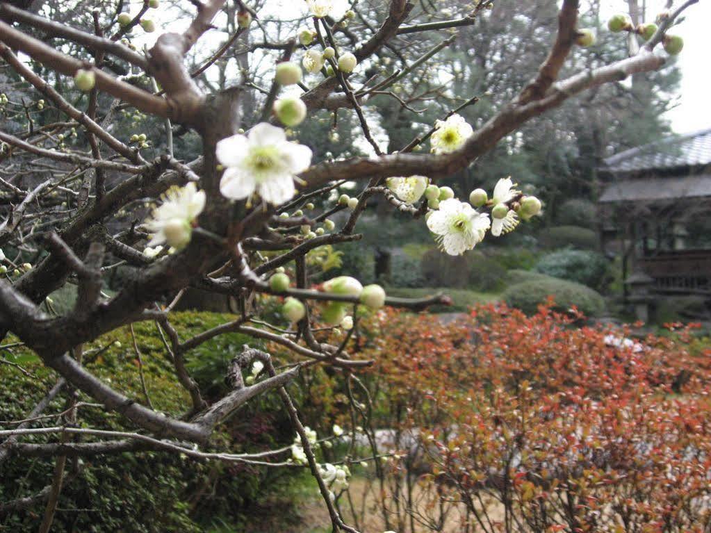 Gosho Nishi Kyoto Heian Hotel Eksteriør billede